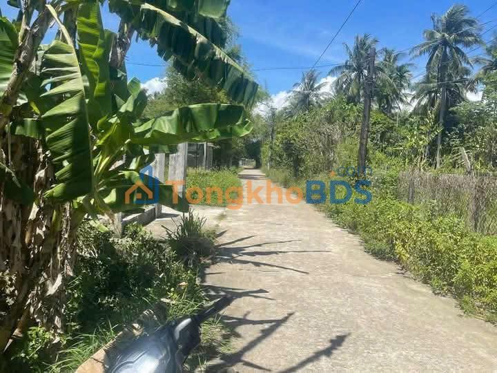 Đất Vườn Nghĩa Hà - 650m² Sổ Riêng - Giá Đầu Tư 9xx Triệu