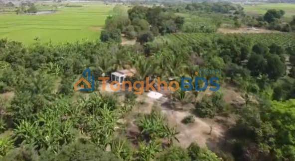 Bán Đất Vườn 3ha Bình Thuận - Vườn Cây Ăn Trái & Sổ Hồng