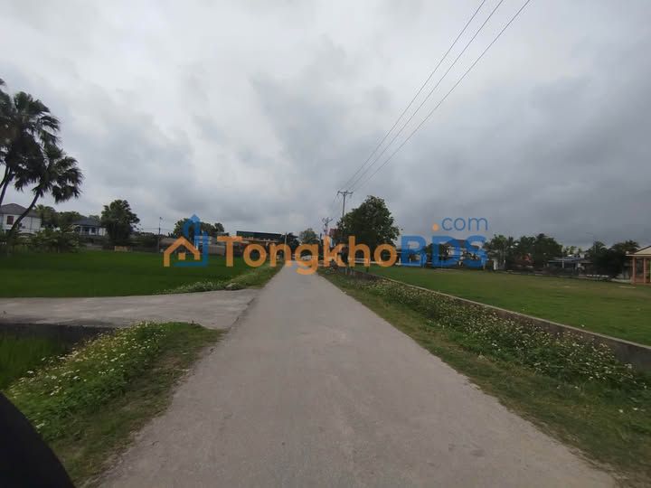 Đất Nền Quảng Xương, Thanh Hóa 291m² - Sổ Đỏ Rõ Ràng, Giá Đầu Tư Hấp Dẫn