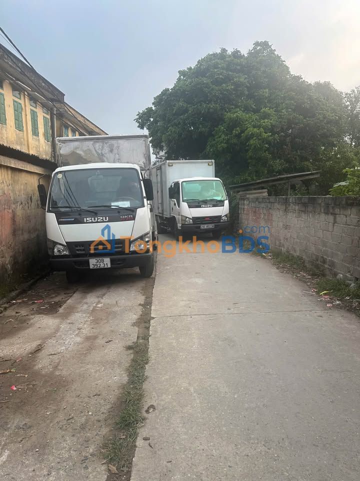 Bán Đất Võng Xuyên Phúc Thọ 186m² - Sổ Đỏ, Ô Tô Tận Nơi