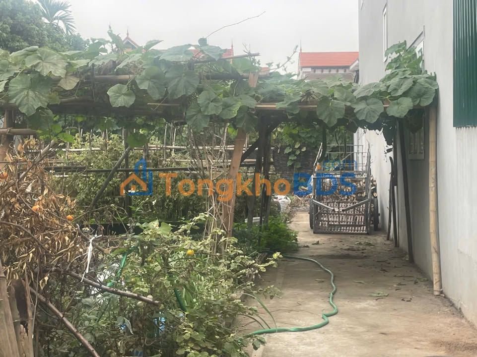 Đất Nền Đan Phượng 41.8m² - Đầu Tư Sinh Lời Vượt Trội