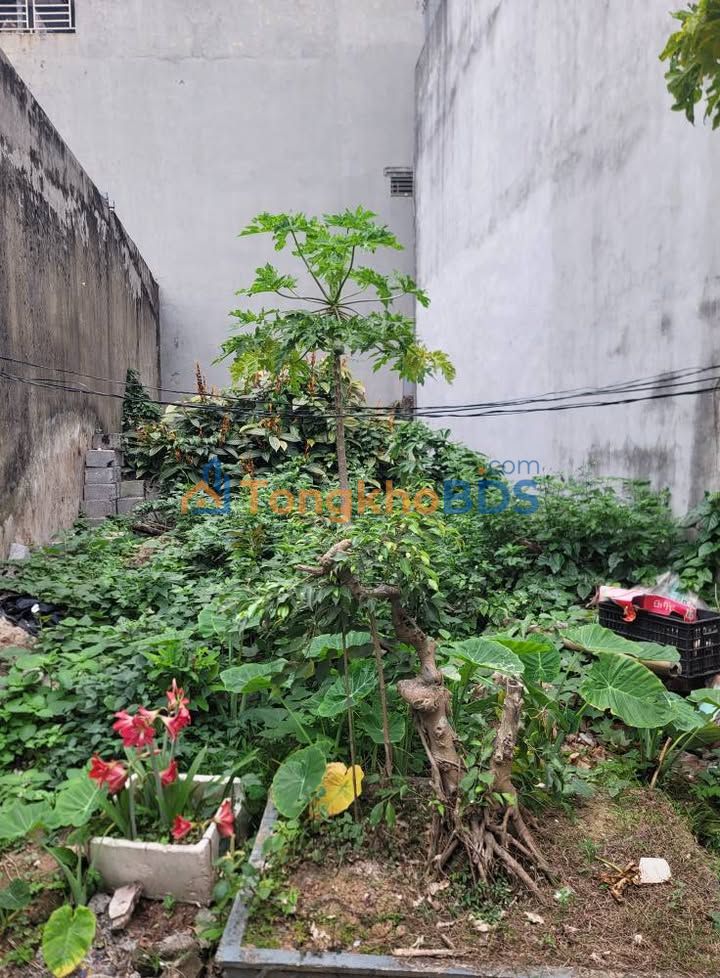 Bán Đất Vàng Nam Định 56m² - Hướng Đông, Giá Đầu Tư 1.45 Tỷ