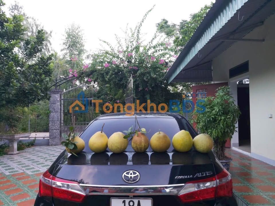 Cho thuê Nhà vườn 3000m² Mỹ Tiến - View sông, Ô tô tận nơi