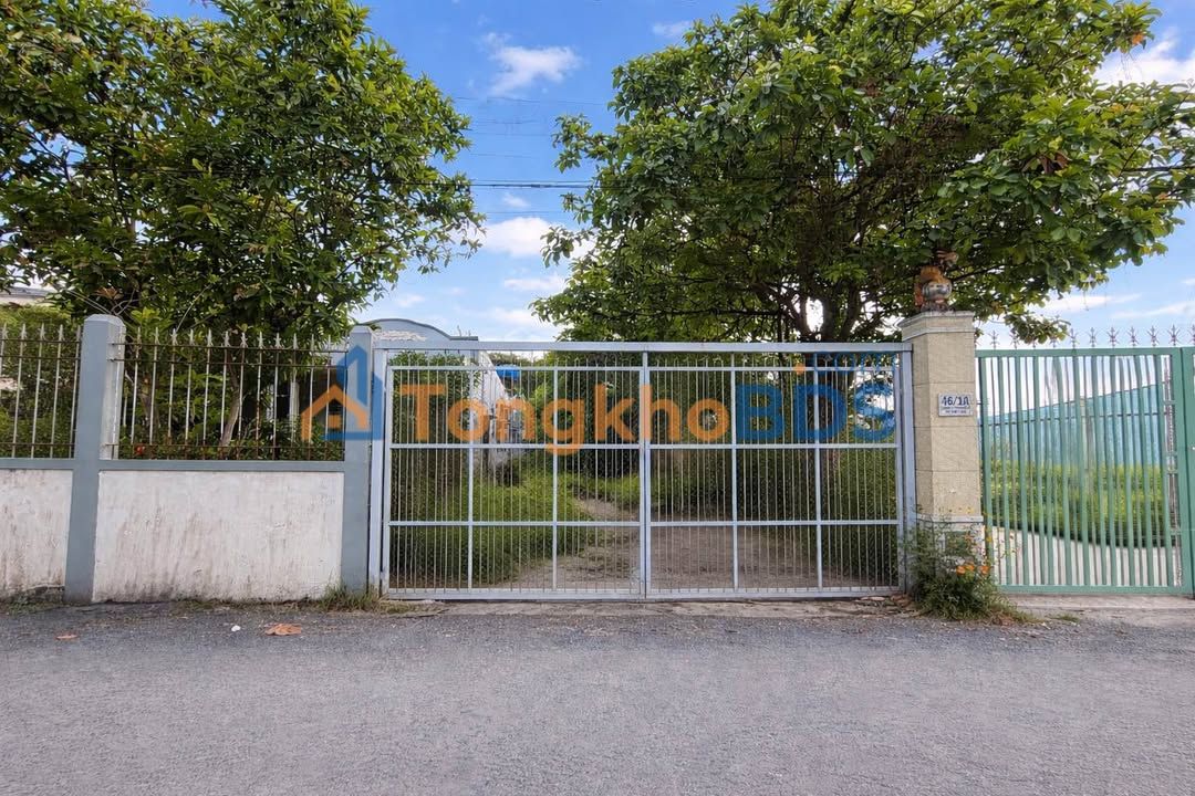 Đất Vĩnh Long 284.5m² mặt tiền nhựa thông thoáng - Giá 3.6 tỷ