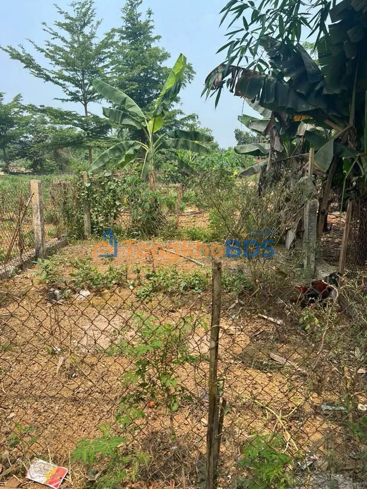 Đất Thổ Cư 95m² Mặt Tiền Đồi Sen, Thạch Thất - Giá Tốt