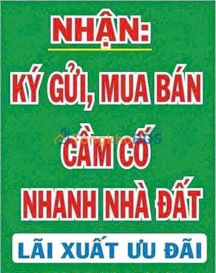 Đất Vườn 234m² Thị Trấn Cần Giuộc - Sổ Hồng Sẵn Sàng