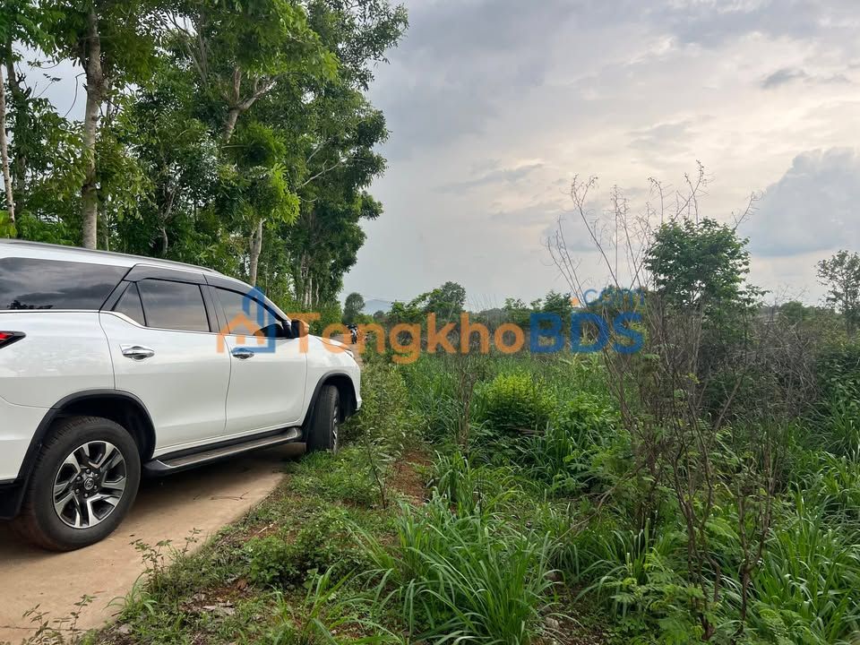 Đất Cẩm Mỹ 132.8m² (121.3m² Thổ Cư) – Đầu Tư Sóng Sân Bay Long Thành