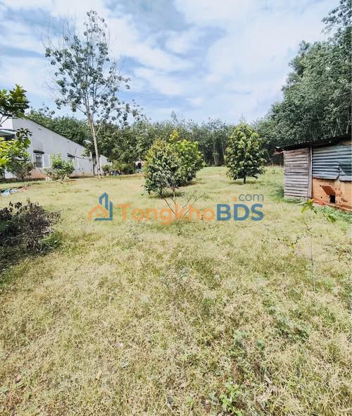 Bán Đất Vườn 750m² Tại P. Tiến Thành, Đồng Xoài - Sẵn Vườn Cây Ăn Trái, Giá Tốt