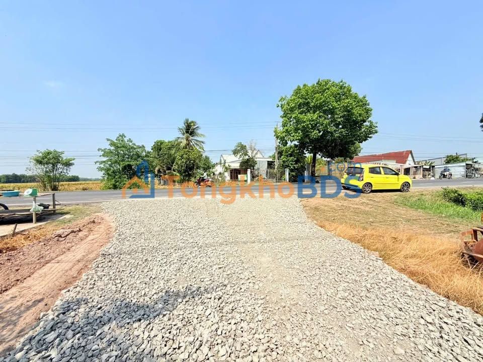 Đất Nền Vuông Vức 12.8x78m Bình Lương, Tây Ninh - Giá 275 Triệu