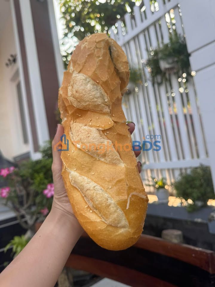 Bán Đất 63m² Phường Long Hoa, Tây Ninh - Sổ Hồng Full Thổ Cư