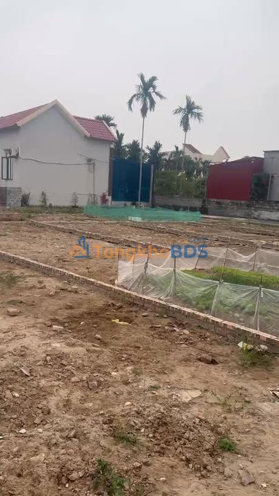 Đất Mặt Đường Nhựa Thôn Đoàn Xá, Kiến Thụy - 72.2m² Hướng Lộc