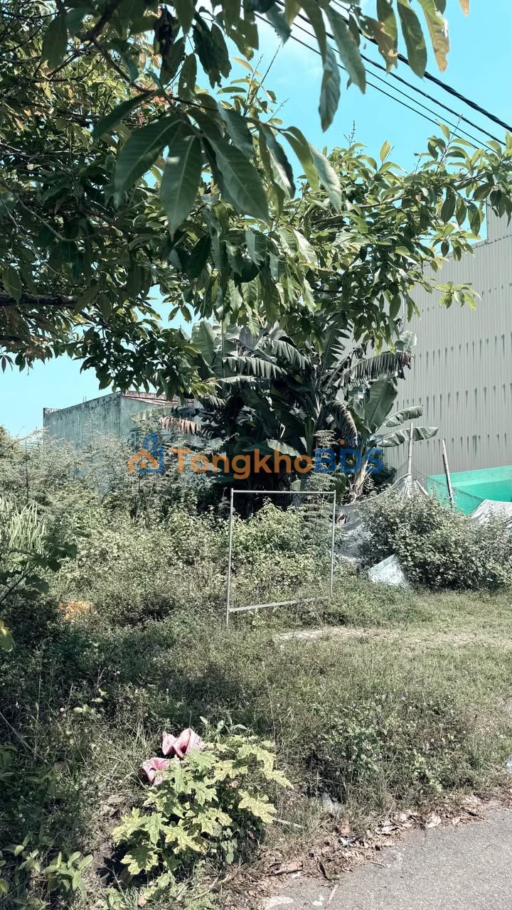 Đất Mặt Tiền Hoà Liên 11, Đà Nẵng - 100m² - Giá Thỏa Thuận