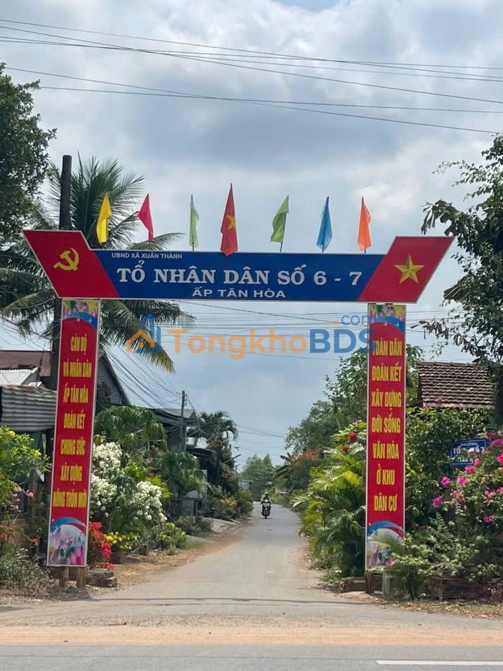 Đất Củ Chi 1000m² Mặt Tiền Đường 35.4m - Sổ Sẵn Sẵn Sàng Giao Dịch