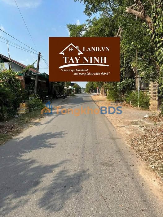 Đất Nền Hòa Thành - 115m² - Sổ Thổ Cư, Gần Nguyễn Văn Linh