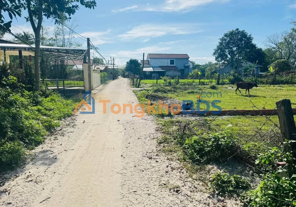 Đất nền Tam Phú 200m² sổ hồng sẵn, gần biển 2km - Giá tốt chỉ 6xx triệu