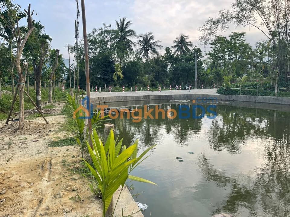 Bán Đất Hòa Vang Đà Nẵng 170m² Sổ Hồng Riêng - Gần Chợ Tuy Loan Giá Tốt