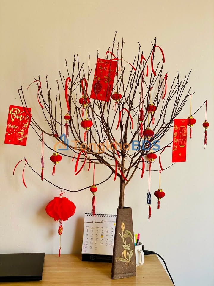 Nhà Mặt Tiền Nguyễn Hữu Thọ, Hải Châu 95m² - Dòng Tiền 30 Triệu/Tháng