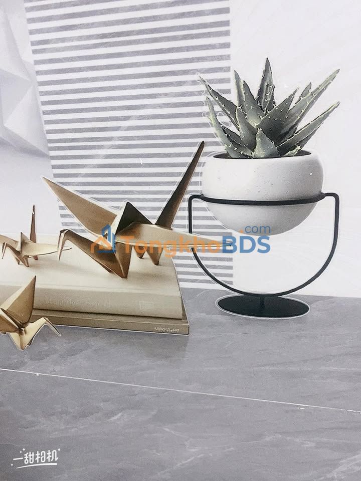 Nhà 75m² Trần Đức, Hải Châu - Rẻ nhất Đà Nẵng, Kiệt Ô Tô 590 Triệu