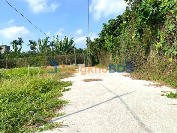 Bán Đất Nền 150m² Thổ Cư Xã Mỹ Phong, Đồng Tháp - Giá Tốt