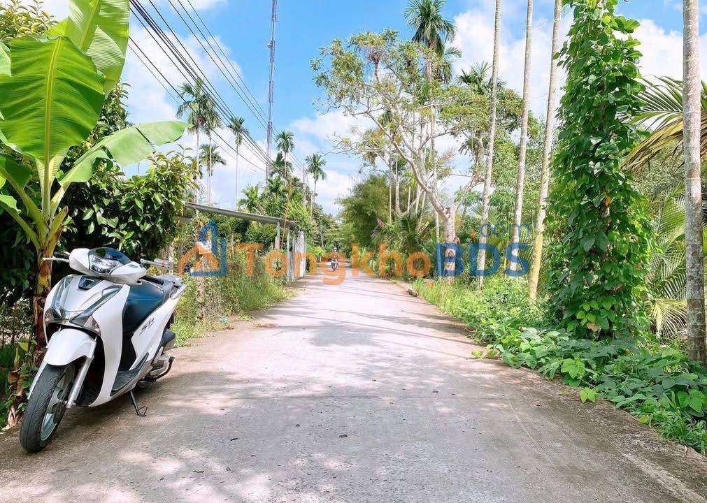 Bán Đất Nền Phong Điền Cần Thơ 380m² - Sổ Hồng Sẵn Sàng