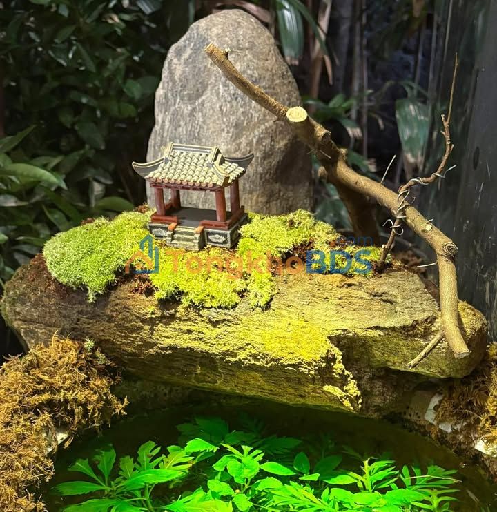 Nhà Phố Cổ Hàng Bạc 200m² - Sổ Đỏ Vuông Vắn, Vị Trí Đắc Địa