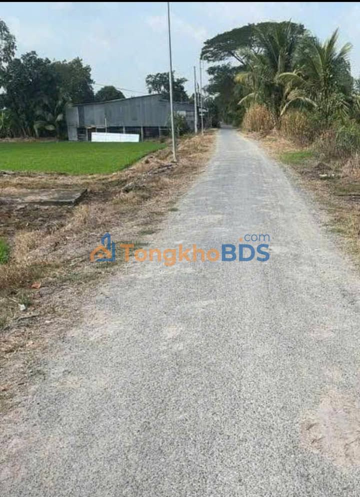 Bán gấp 1285m² đất ruộng mặt tiền 30m tại Mỹ Phú Đông, An Giang - Sổ đỏ sẵn sàng