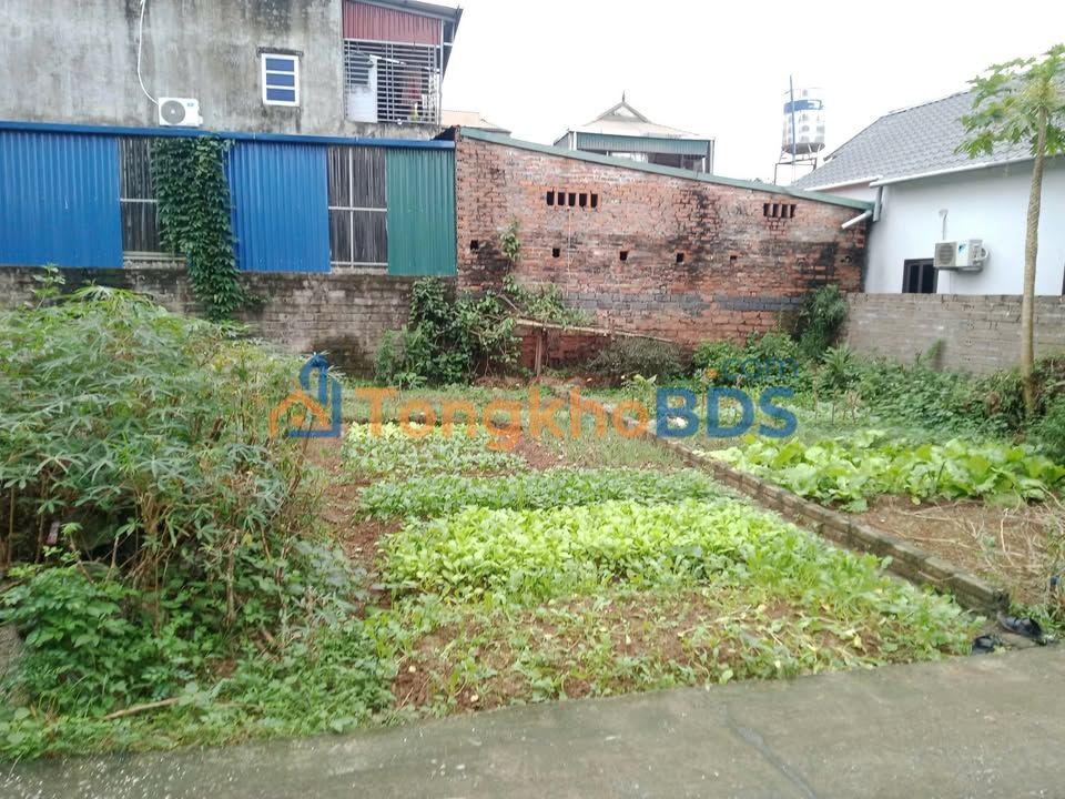 Bán Đất Phú Thượng, Tây Hồ 50m² - Sổ Đỏ Thổ Cư, Ô Tô Vào Tận Nơi