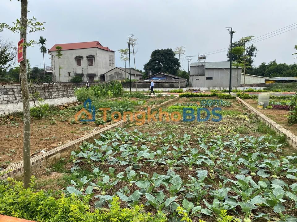 Đất nền Sổ đỏ 108m² - Gần ĐH Quốc Gia, Thạch Thất - 3 Tỷ