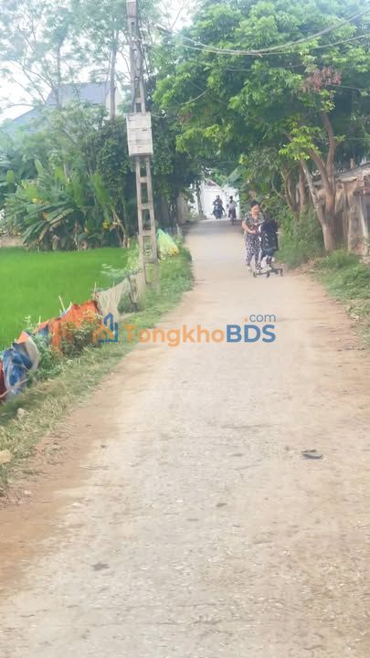 Đất nền Hậu Lộc 200m² - Vị trí đắc địa, giá chỉ hơn 5 triệu/m²