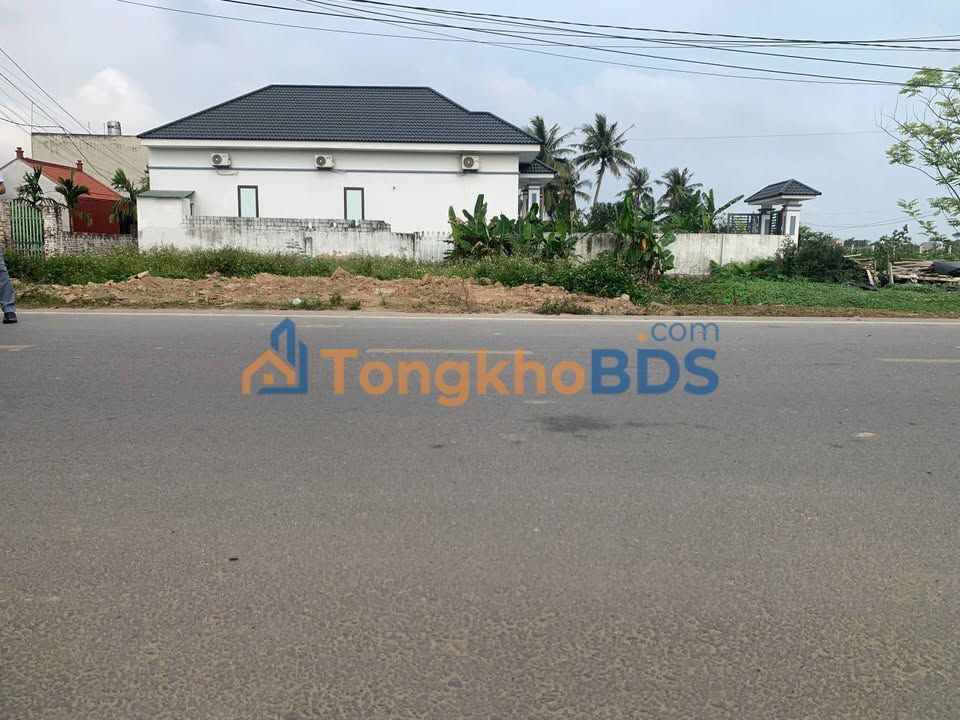 Bán Gấp Đất Nền 100m² Mặt Tiền Đường Lớn Hoằng Phụ, Thanh Hóa - Giá 1 Tỷ