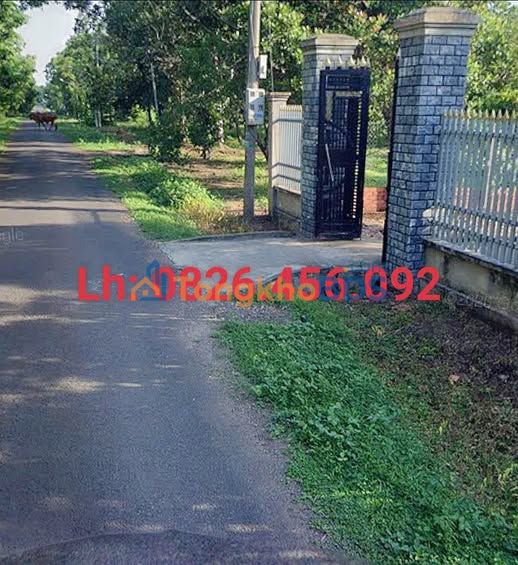 Đất Nền Sổ Đỏ 165m² - Tiến Hưng, Đồng Xoài - Giá Tốt Đầu Tư