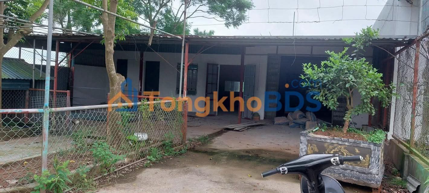 Kho Xưởng 240m² Mặt Đê Hoàng Diệu, TP Thái Bình - Giá Chỉ 3 Triệu/Tháng