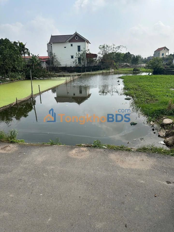 Đất Kinh Doanh Mặt Tiền 7.5m Thôn Chung Chản, Phú Xuyên - 186m²