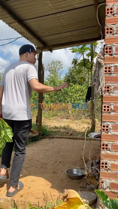 Bán Đất Farm 3800m² Đăk Lăk - Vườn Cà Phê, Sầu Riêng Cho Thu