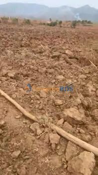 Bán đất rẫy 1.5ha Gia Lai - Mặt tiền 100m, giá chỉ 700 triệu