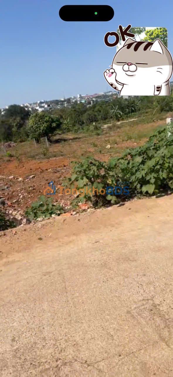 Đất nền Buôn Ma Thuột - Hẻm 72 Trần Quý Cáp, 90m² - Vừa túi tiền, Sẵn sổ đỏ