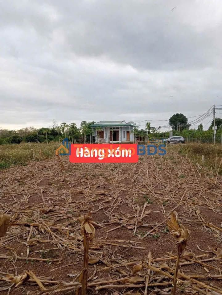 Đất nền Xã Quảng Hiệp, Cư M'gar 155m² - Giá 195 Triệu, Sổ Hồng Sẵn!