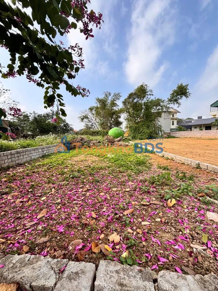 Đất Vàng Đan Phượng - 112m² Full Thổ Cư, Ngay Trục Chính Liên Xã, Giá Hời