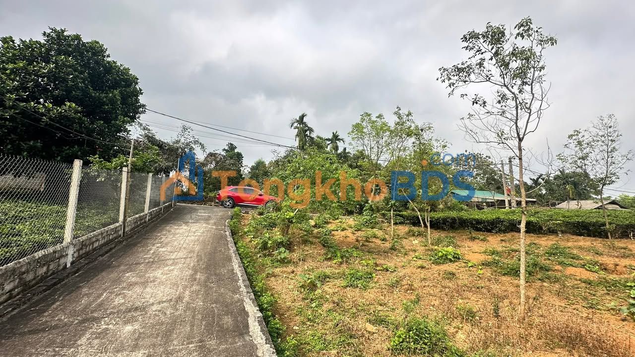 Bán Đất Vườn Ba Vì 6800m² - View Cánh Đồng, Sổ Đỏ Rõ Ràng