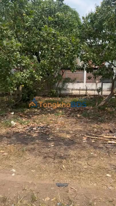 Bán Đất Chính Chủ Đồng Xoài 360m² - Sổ Hồng Sẵn Sàng