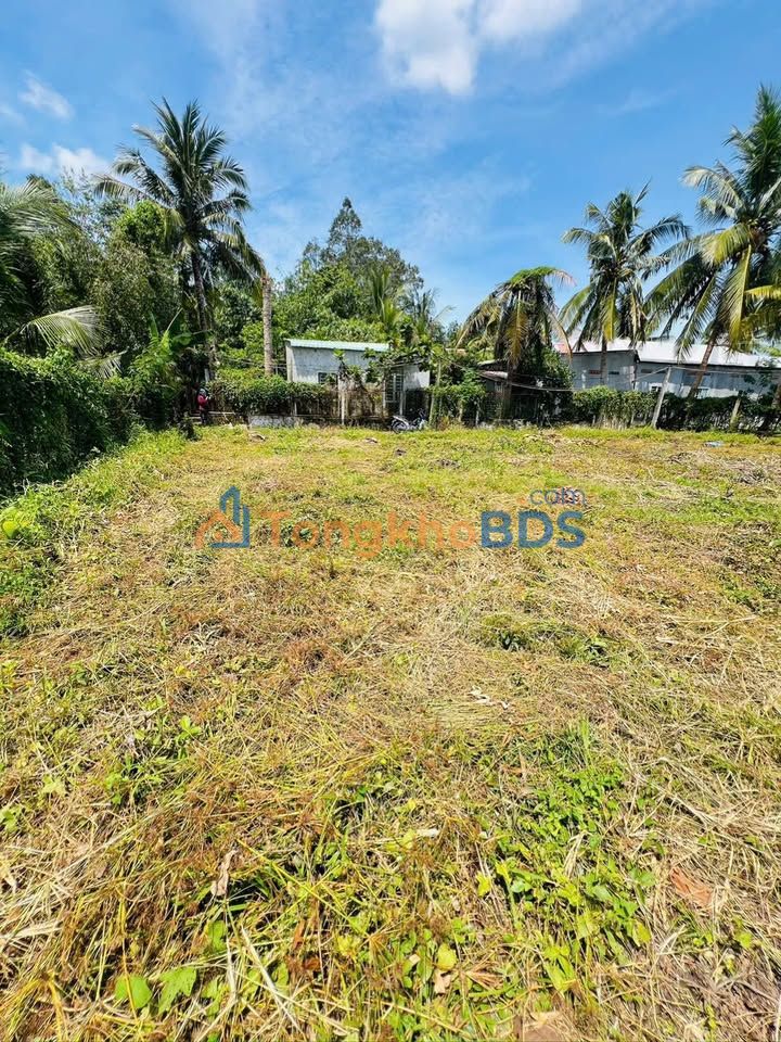 Đất Nền Cần Thơ 396m² - Sổ Đỏ CLN, Hướng Đông Bắc