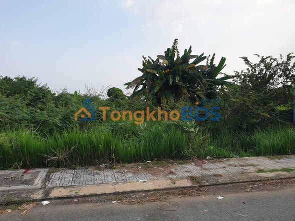 Đất Nền Trục Chính Ngô Ngọc Du, Q9 - 52m² - Sổ Hồng Sẵn Sàng Xây Dựng