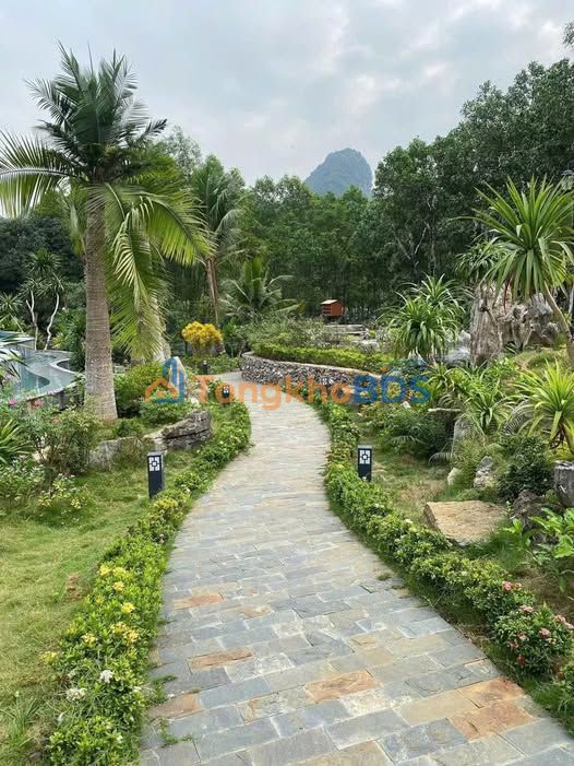 Bán Đất Nền 150m² Phường Hòa Minh, Liên Chiểu - Sổ Hồng Riêng, Giá 1.1 Tỷ