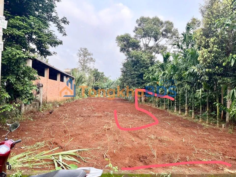 Đất Nền Buôn Ma Thuột 265m² - Hẻm C1 Nguyễn Xuân Nguyên, Giá 2.49 Tỷ