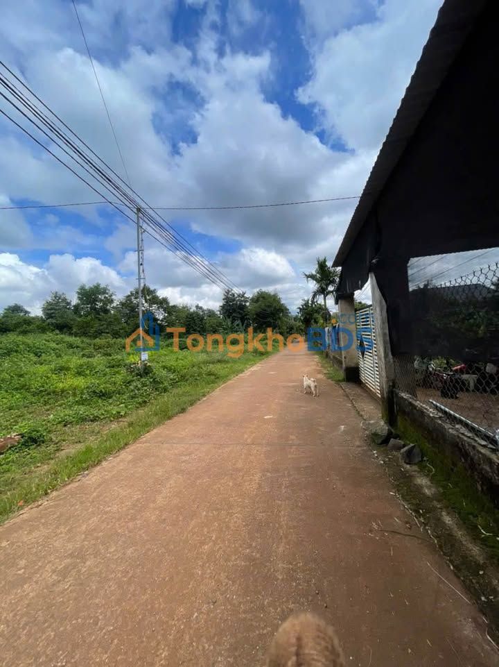 Bán Đất Mặt Đường Bê Tông 265m² - Vị Trí Vàng Buôn Ma Thuột, Đắk Lắk