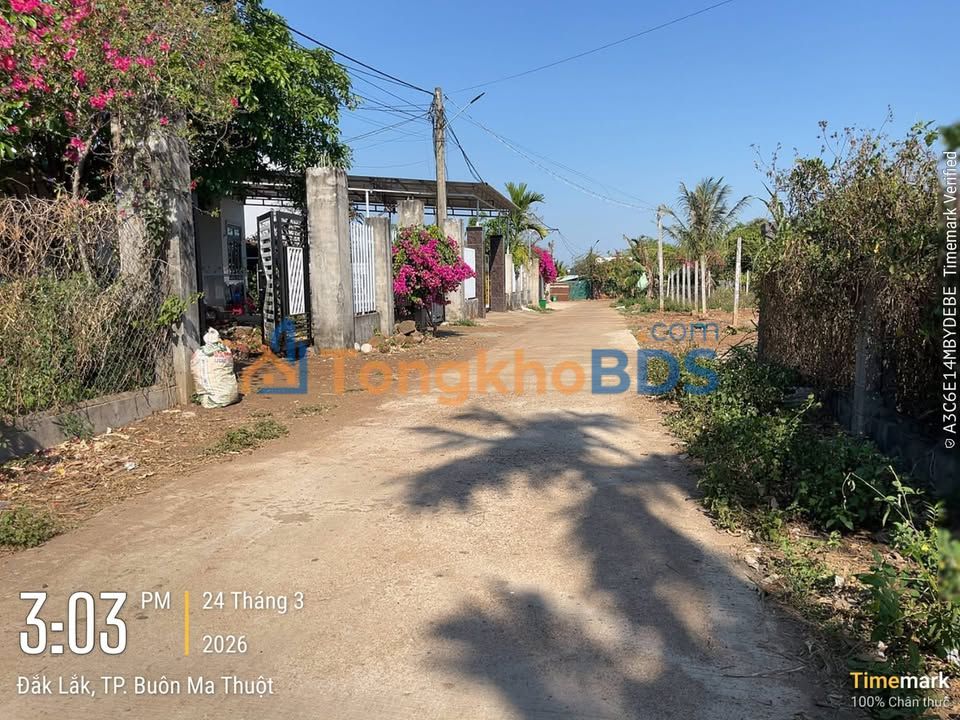 Bán Đất Thổ Cư 120m² Buôn Đôn - Sổ Đỏ Sẵn Sàng, Giá Tốt