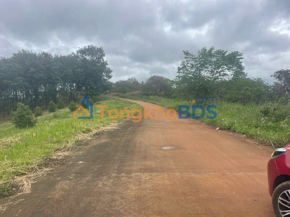 Đất Vườn Đắk Lắk - 19800m² Giá 750 Triệu - Sổ Đỏ Rõ Ràng