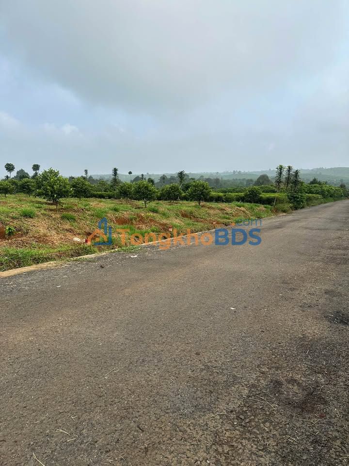 Đất Lộc An Bảo Lâm 3000m² - Sổ Đỏ 11 Lô, Giá Đầu Tư 7 Tỷ