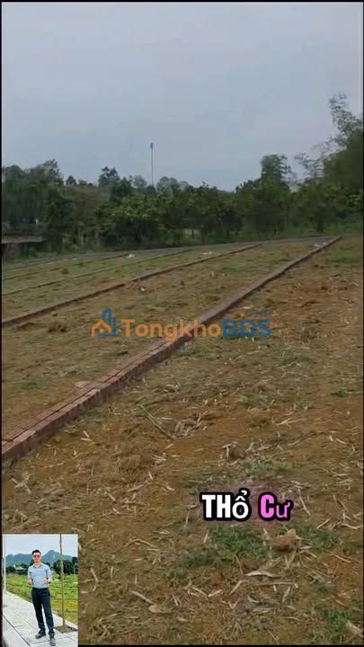 Đất thổ cư 175m² hướng Bắc tại Lạc Sơn, Hòa Bình - Giá chỉ 3xx triệu