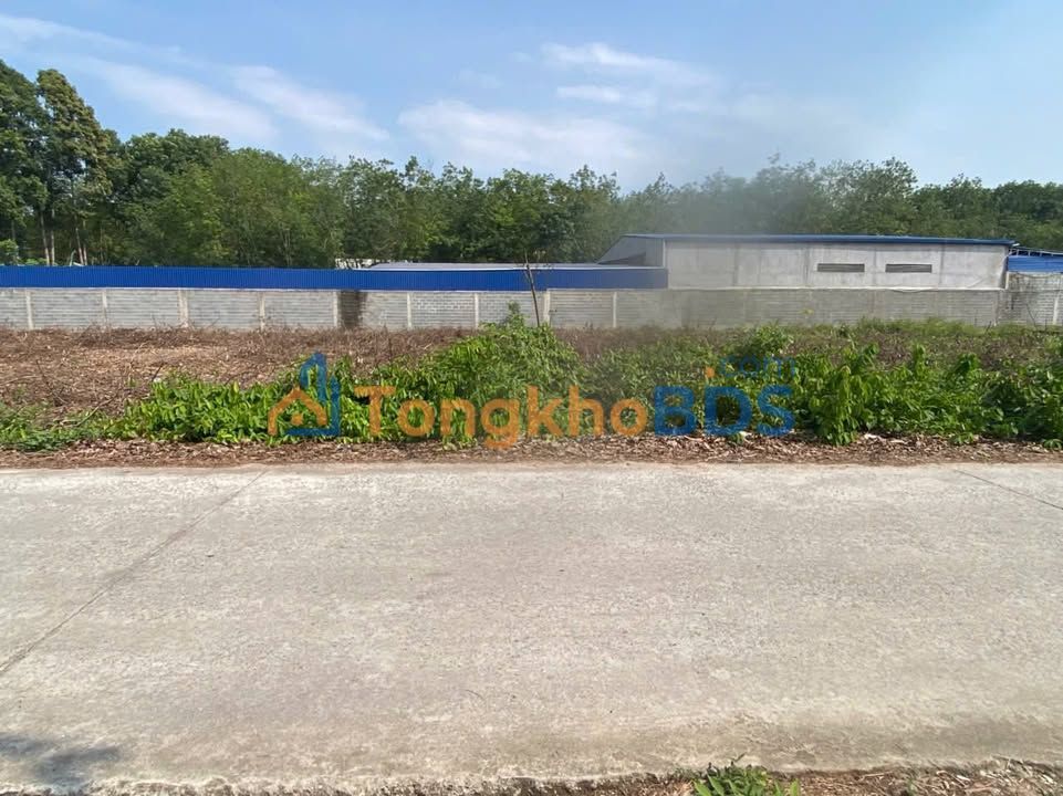 Đất Vĩnh Tân, Đồng Nai 175m² - Giá 1.5 Tỷ, Sổ Thổ Cư, Mặt Tiền Thông